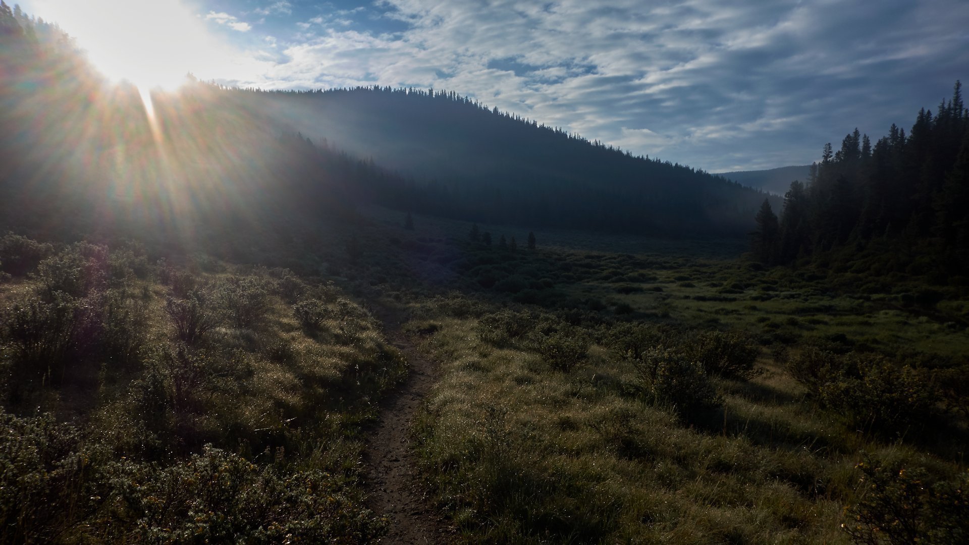 Colorado Trail: Morgens am North Fork des Lost Creek