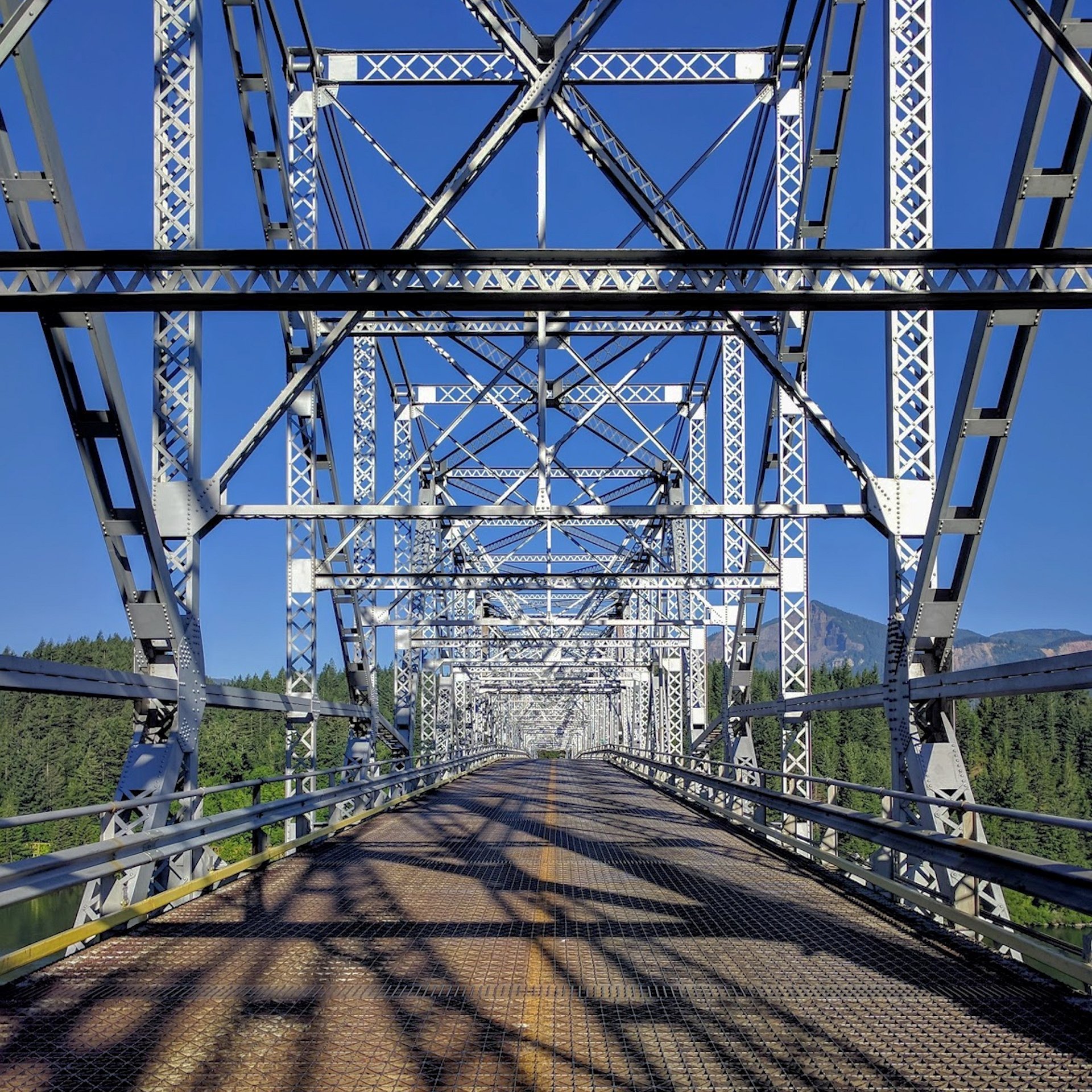 Pacific Crest Trail: Über die Brücke der Götter nach Washington (© Saskia Haun)