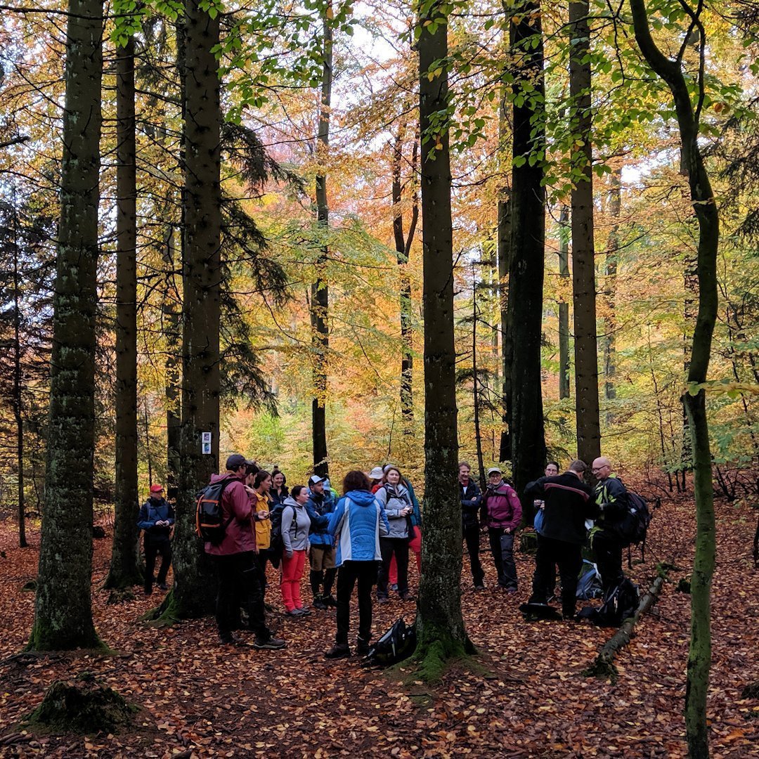 Saar-Hunsrück-Steig: Etappenstart bei Börfink