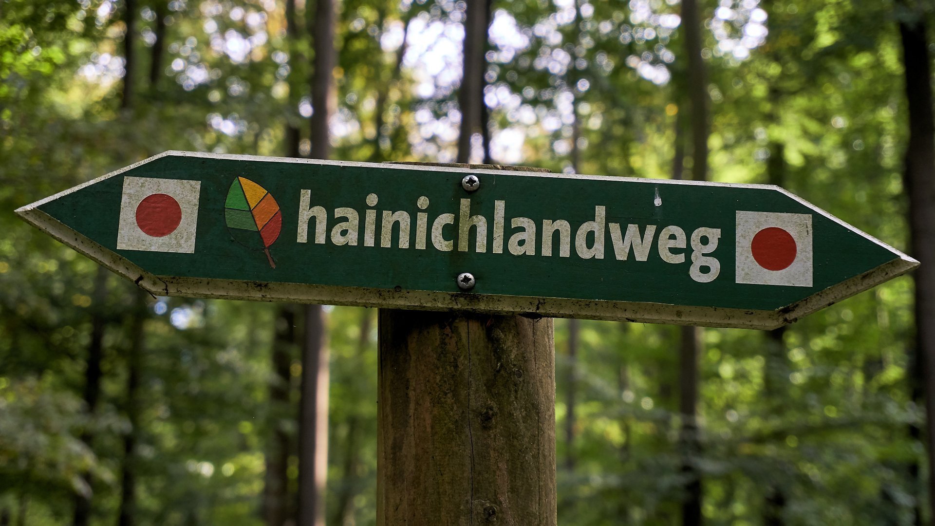 Hainichlandweg: Wegweiser durch den Hainich-Urwald