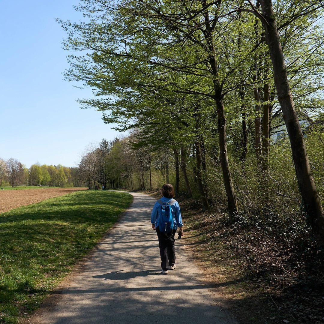 Wandern in München: Am Durchblick gab es eine Blickachse zwischen den beiden Schlössern