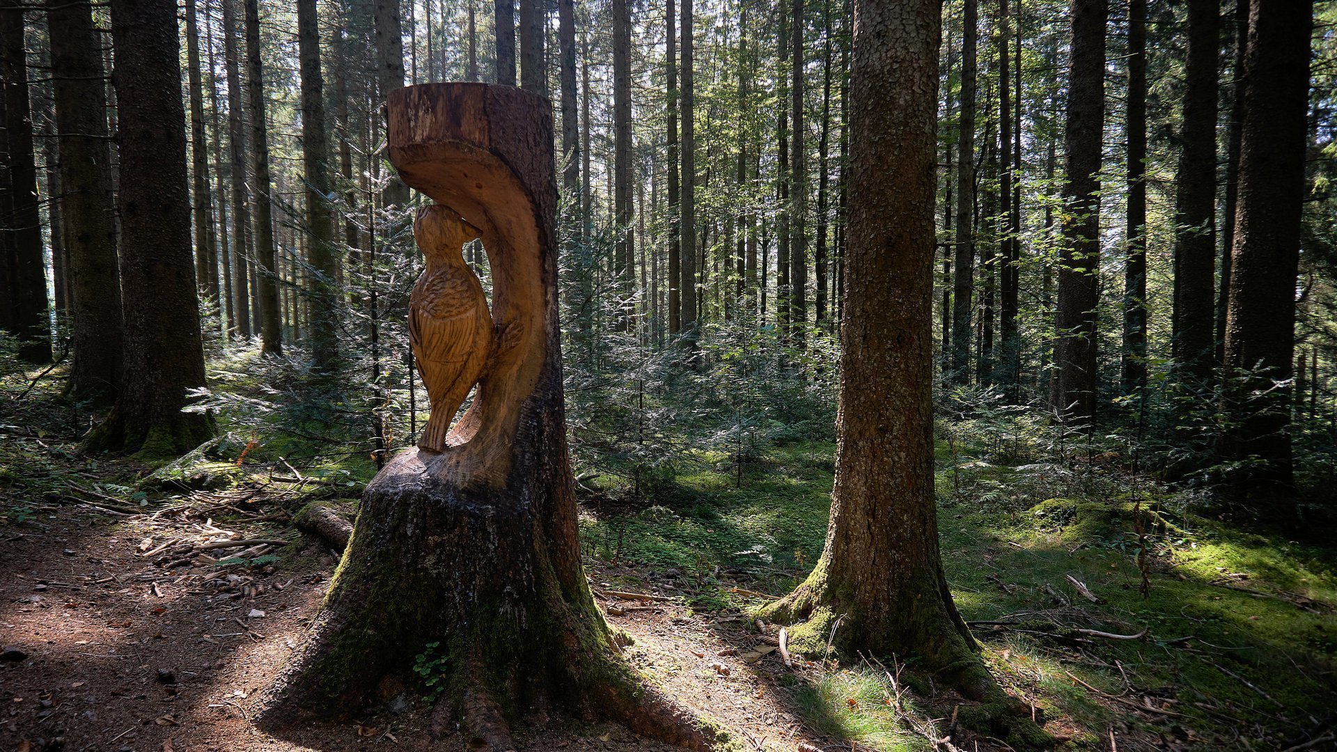 Westweg: Holz-Skulptur an der Schwarzwaldhochstraße