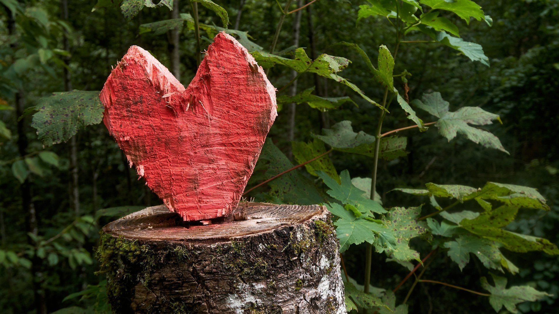 Schluchtensteig: Baumstamm mit Herz aus Holz