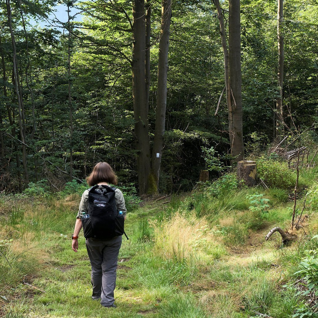 Frankenwald-Trekking: Start auf dem Fernwanderweg E6 am Rauheberg