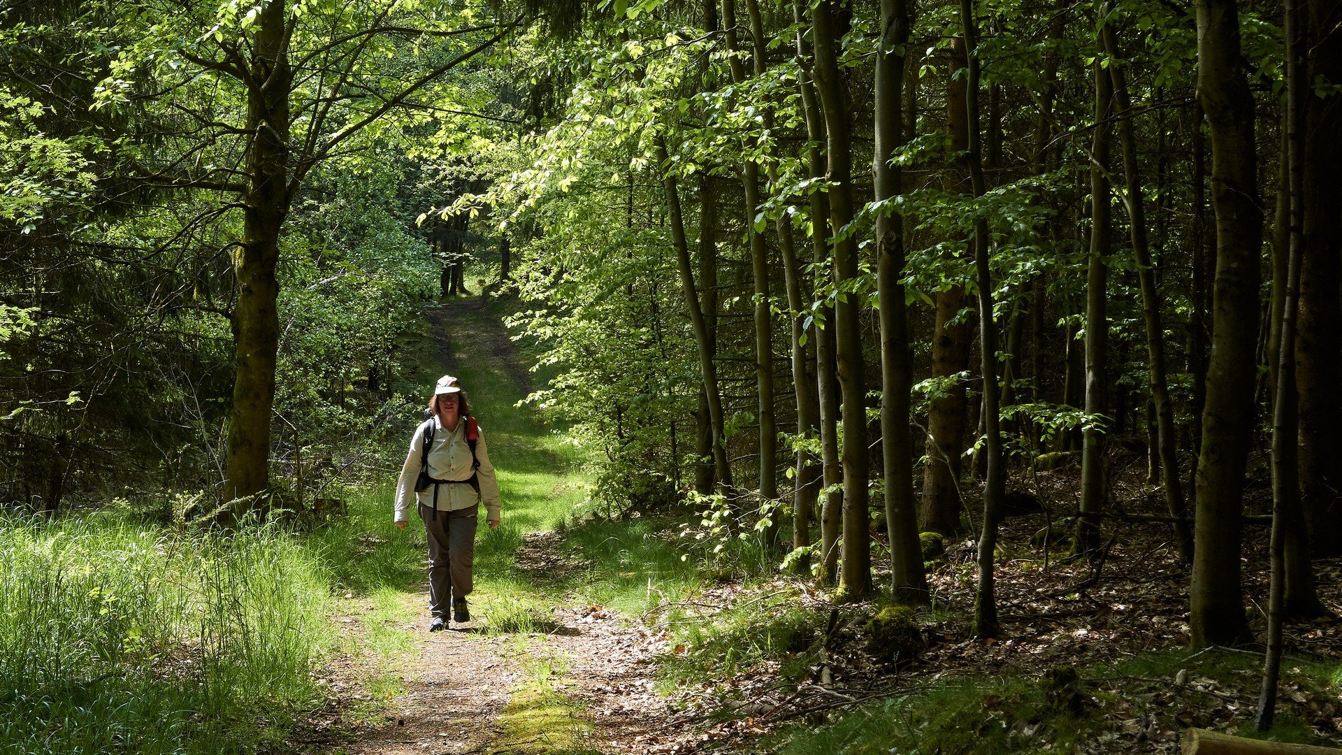 Frankenwald-Trekking: Wandern mit Zelt